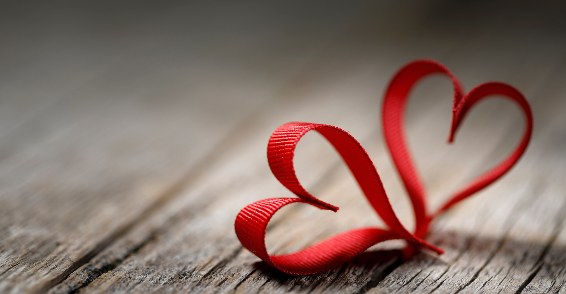 Dogs running down stairs 