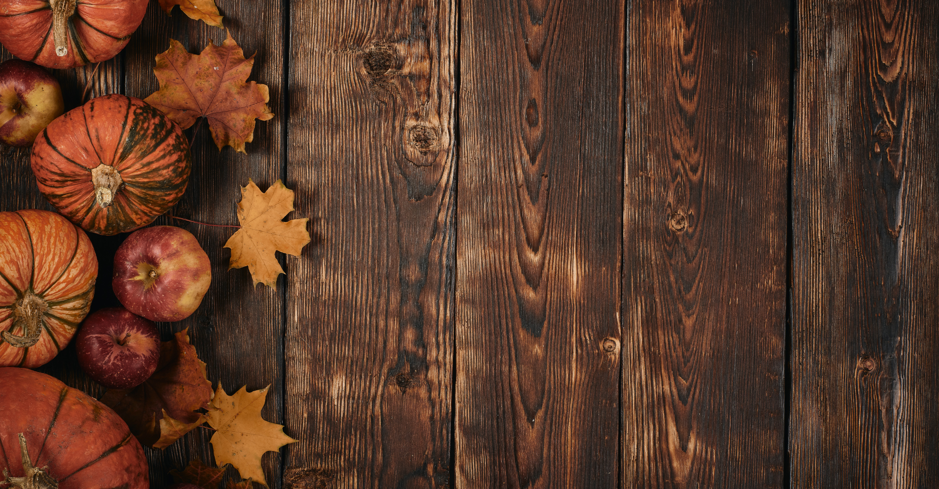 Dogs running down stairs 