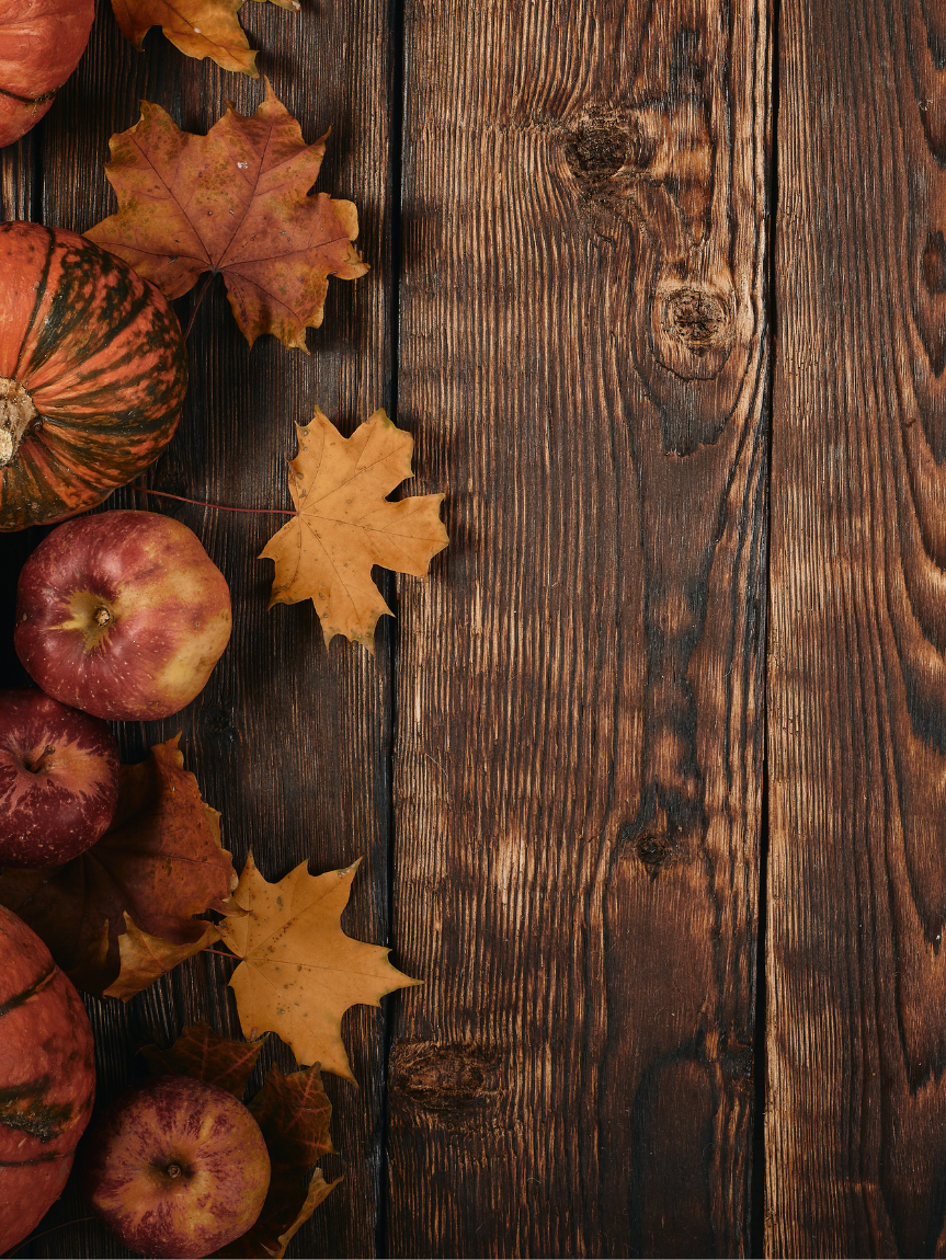 Dogs running down stairs 