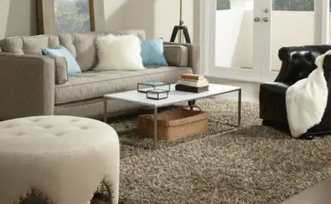 Living Room with Area Rug